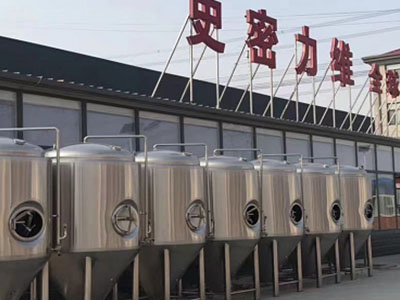 南宁精酿啤酒设备厂—如何判断精酿啤酒设备的密封件需要更换？